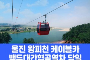 [상품코드 7871] 당일 - 협곡열차여행 죽변해안스카이레일&동해바다 협곡열차 [석식제공]  [서울/경기/충청/부산 출발]