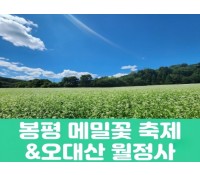 [상품코드 7890] (청량리,부전,창원,동대구 출발) 당일 축제여행 봉평 메밀꽃 축제&오대산 월정사(중식,석식) 가이드동행 출발확정 ~