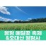 [상품코드 7890] (청량리,부전,창원,동대구 출발) 당일 축제여행 봉평 메밀꽃 축제&오대산 월정사(중식,석식) 가이드동행 출발확정 ~